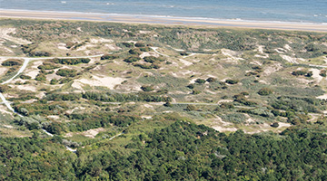 De duinen van Noordwijk