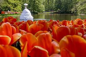 2 or 3-day Keukenhof Package_1