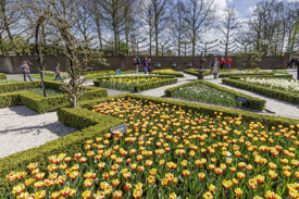 2 or 3-day Keukenhof Package_2