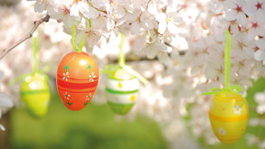 2-day Happy Easter Package_0